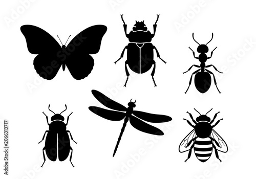 Insects Silhouettes on White Background