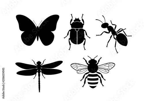 Insect Silhouettes Isolated on White Background