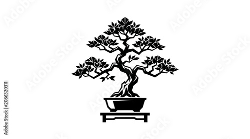 Bonsai Tree in a Pot.