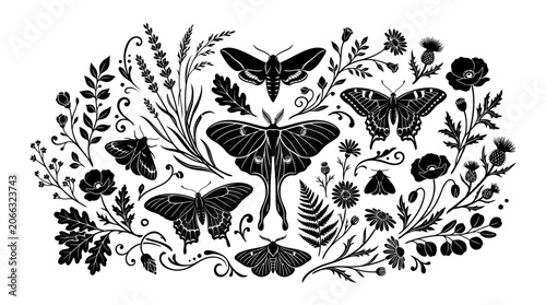 Black butterflies and floral illustration.