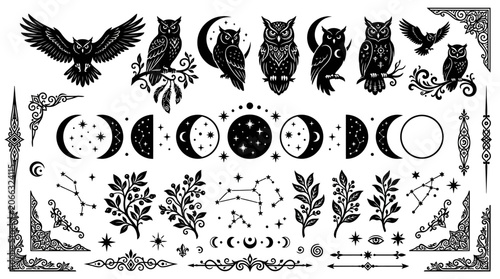 Moon phases with owls and eagles.