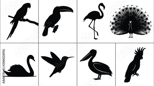 Canvas Print Collection of exotic tropical bird black silhouettes including parrot toucan fla