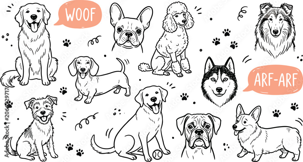 Fototapeta premium Dogs breeds dogs variety