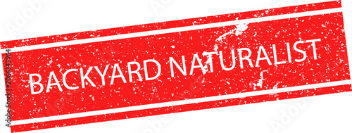 Canvastavla Vibrant red rubber stamp design with a grunge aesthetic containing the words Bac
