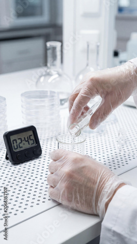 Close-up of scientist hands in clear sterile gloves pouring liquid from a tube into a beaker in a lab. Modern laboratory desk with flasks, Petri dishes, and a digital timer