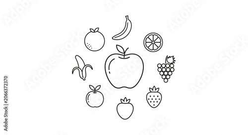 Variety of Fresh Fruit Illustrations.