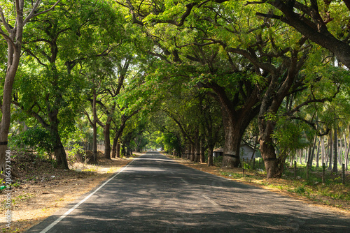 Scenic Munnar–Udumalpet Road from the Western Ghats in Southern India.