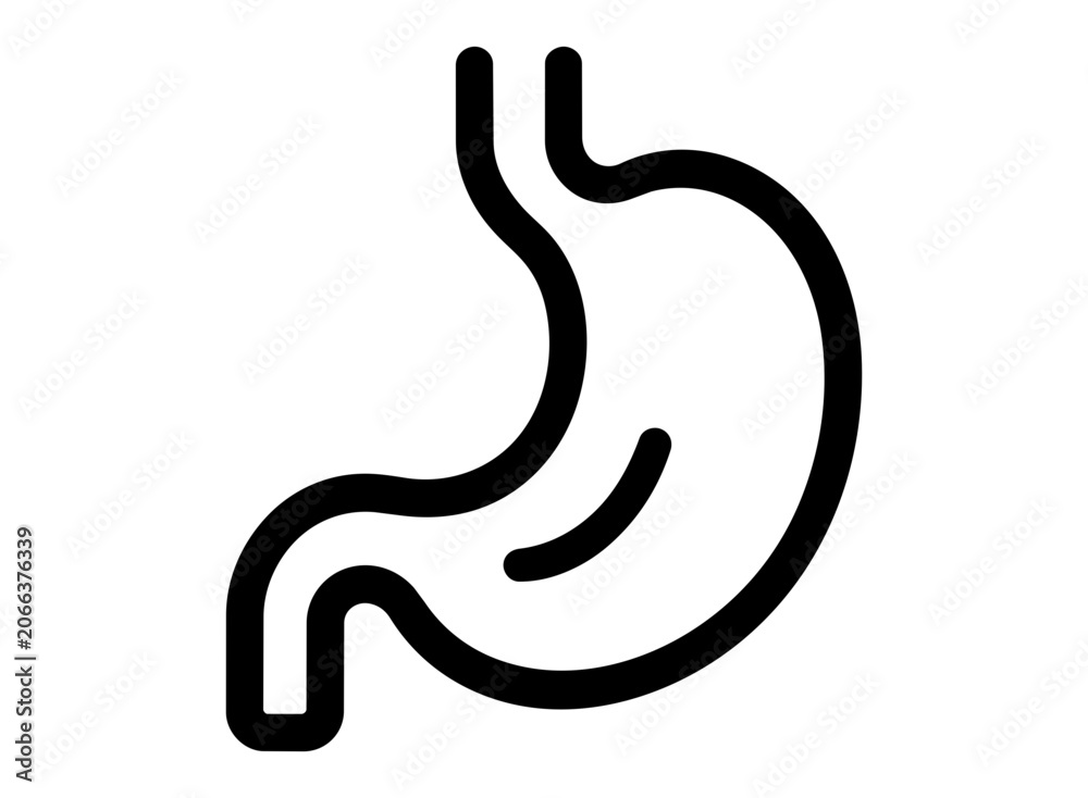 Fototapeta premium Human Stomach