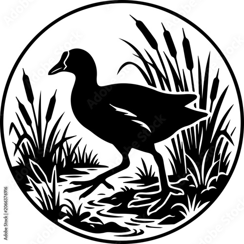 single black moorhen bird icon, wetland silhouette