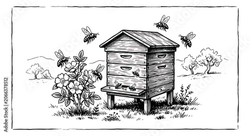 Vintage woodcut beehive illustration, rustic wooden bee house in countryside landscape, hand drawn apiary with flying honey bees and flowers