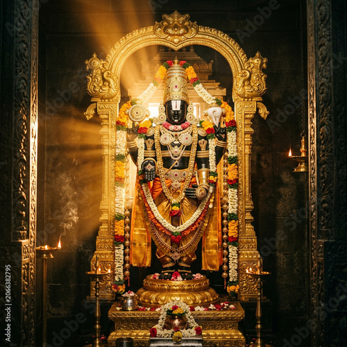 Divine Idol of Lord Vishnu ...