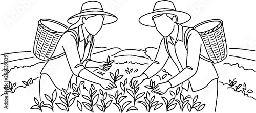 Two farmers harvesting crops in agricultural field.