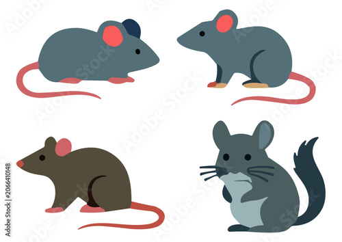 Photography Vector Cartoon Rat Mouse