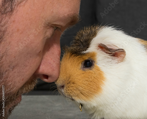 A man rests his head on his guinea pig. Saying goodbye to a pet that is suffering dental disease, an overgrown tooth root piercing through the lower jaw