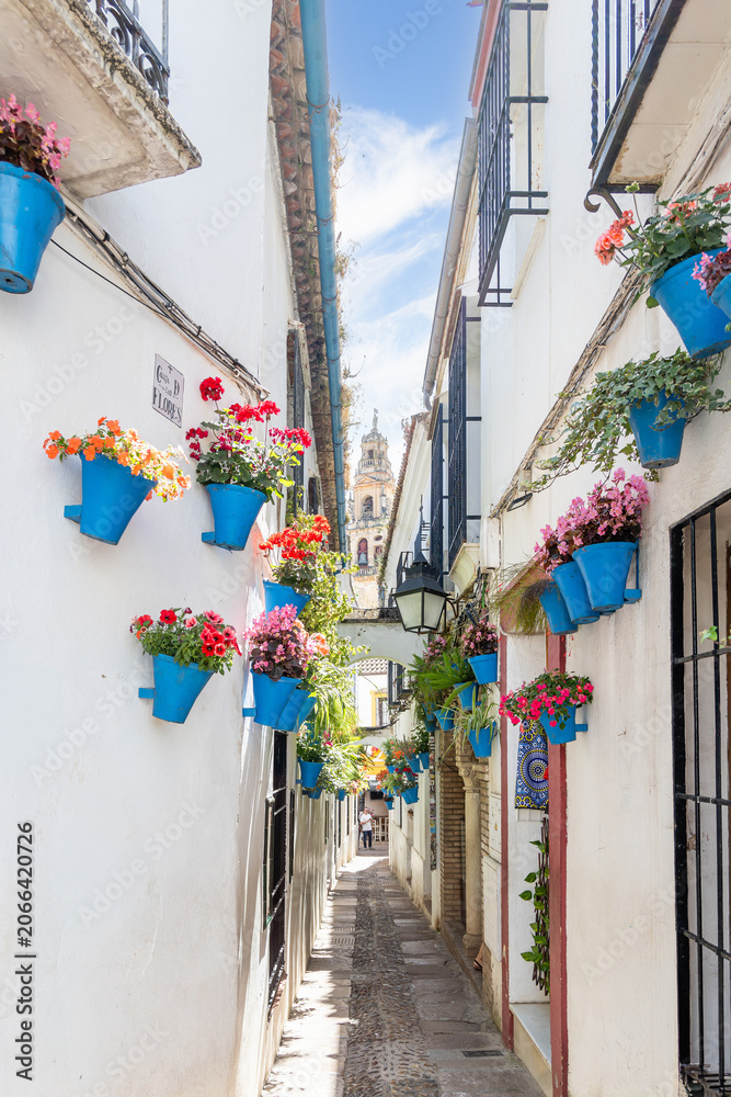 Fototapeta premium historic buildings in the city center of Cordoba in Spain