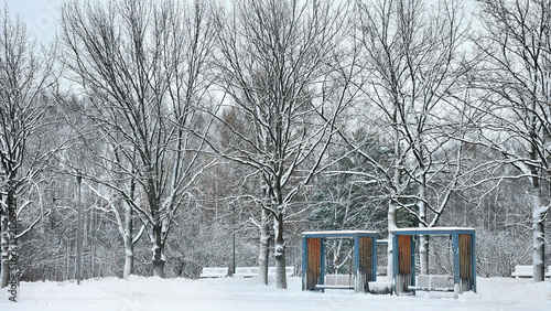 Snowy winter park