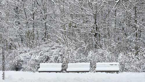 Winter park scene