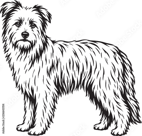 pyrenean shepherd dog silhouette