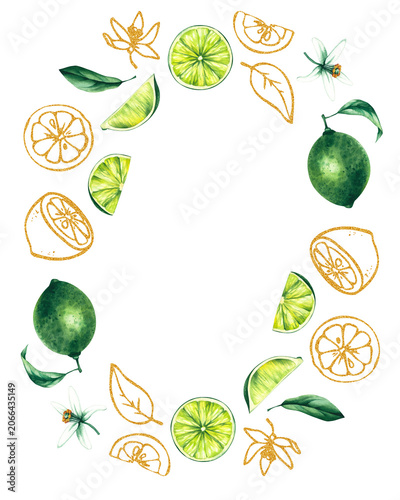 Lime wreath. Watercolor hand-drawn citrus tropical fruit. Lime hand-painted illustration. Botanical lime fruit for wedding invitations, festivals, or postcards.
