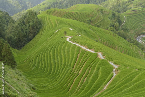 Fascinating Longsheng Longji rice terraces near Guilin in southern China.