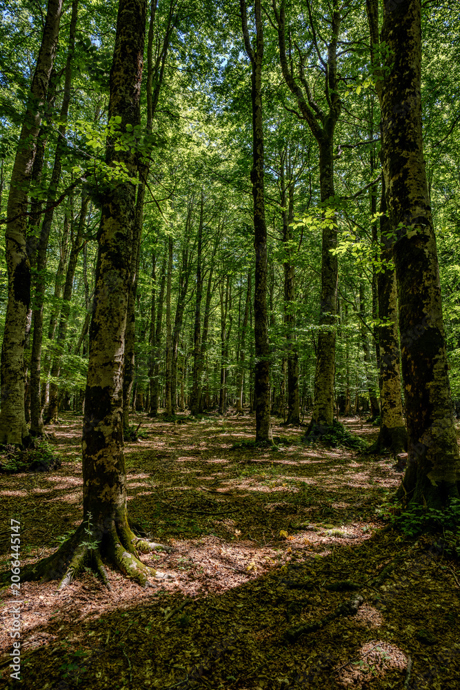 Obraz premium Campitello di Sepino. Mountain landscape of Molise.