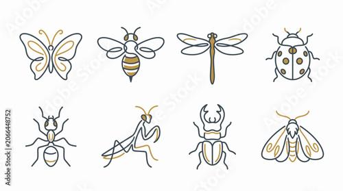 Insects and bugs illustrations set.
