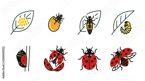 Seven ladybugs on leaves and wings.