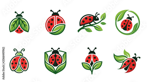 Colorful ladybugs on green leaves insects.