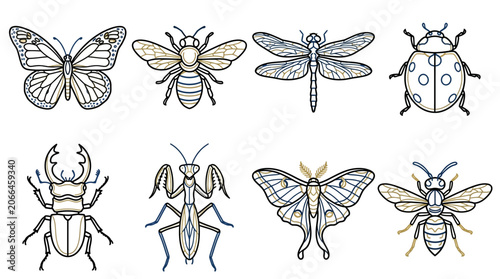 Fotografi Insects and bugs line drawings.