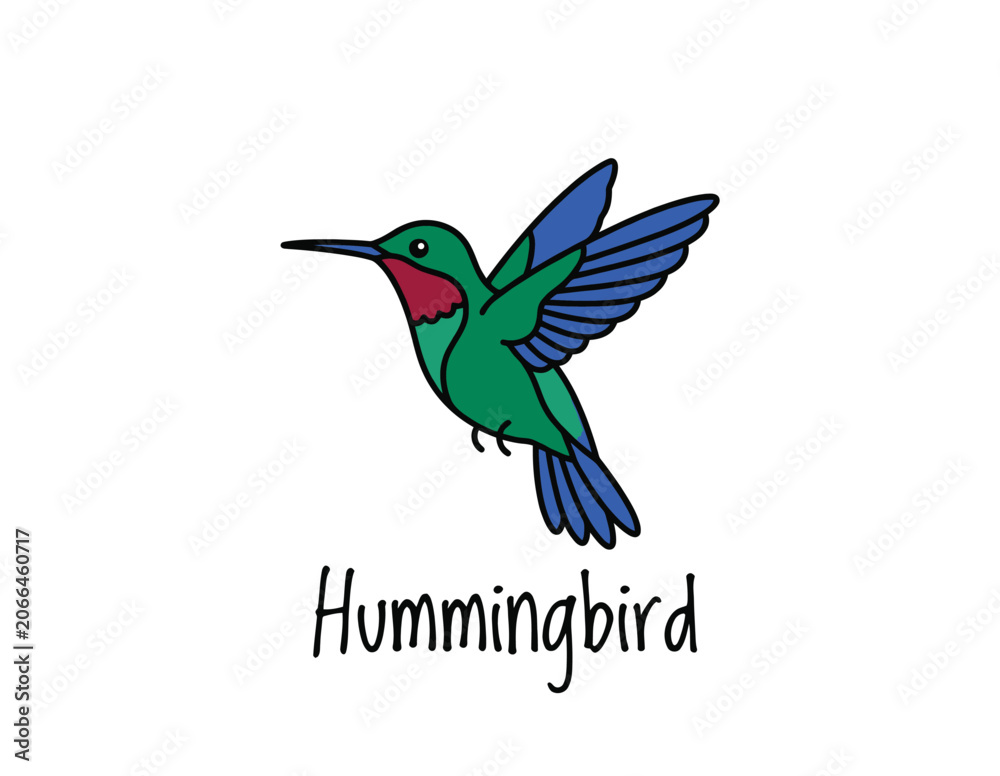 Obraz premium Vibrant green hummingbird with blue wings and red throat patch flying freely outdoors