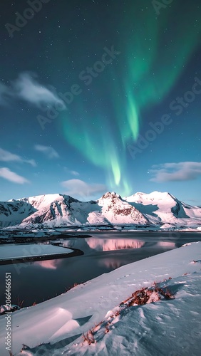 A serene snowy mountain landscape under the green aurora borealis (5)