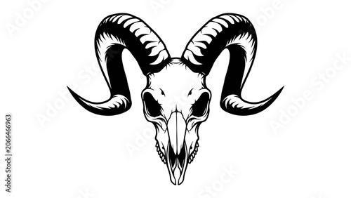 Fényképezés Ram Skull Illustration: A stark, graphic illustration of a ram's skull featuring prominent, curved horns in black and white, evoking a sense of wildness or the macabre