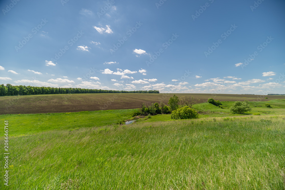 Obraz premium Sunny rural meadow with rolling fields and distant horizon