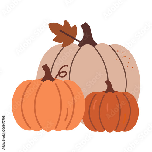 Autumn Pumpkin Harvest Vector Illustration