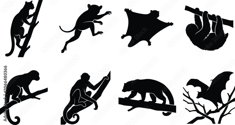 Obraz premium Arboreal Mammal Silhouette Collection Featuring Primates, Sloth, Gliding Mammal and Bat