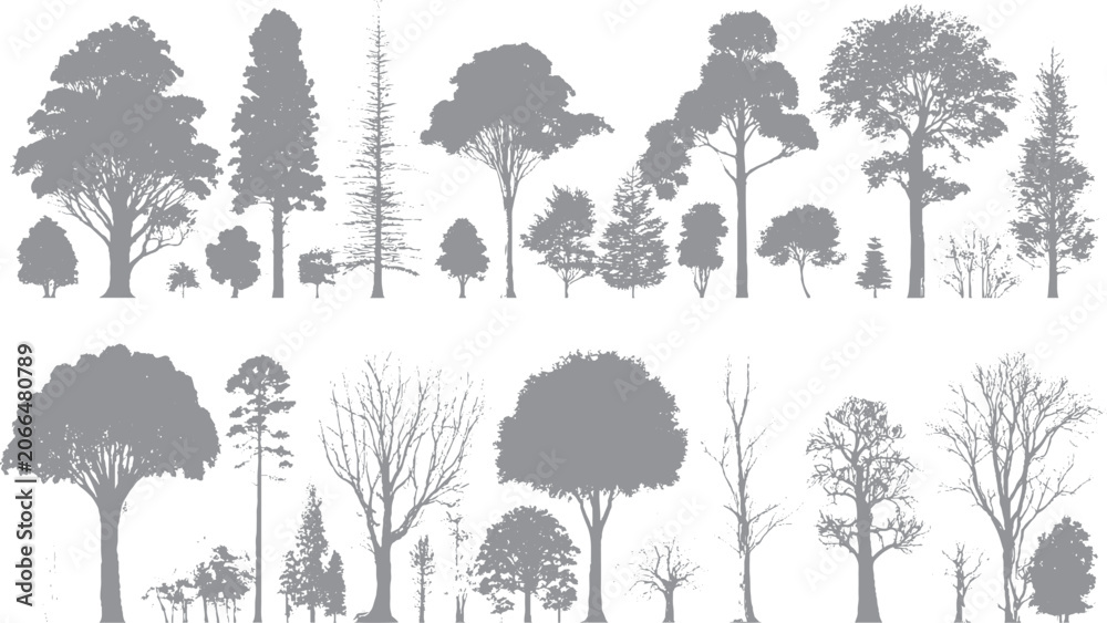 Obraz premium Botanical tree collection with detailed green canopies Forest and park trees isolated for graphic design