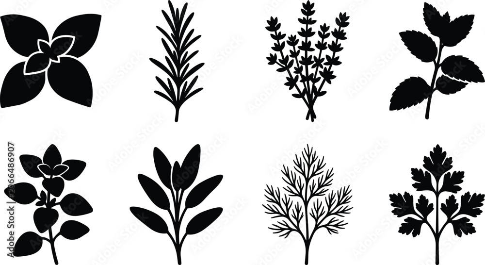 Obraz premium Herb and Botanical Plant Silhouette Collection for Natural Design Projects