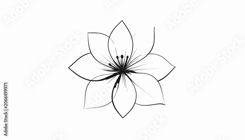 Obraz na płótnie Detailed drawing of a flower.