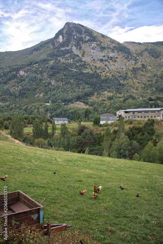 A vertical landscape featuring mountains and green meadows, with a group of free-range chickens pecking at the ground