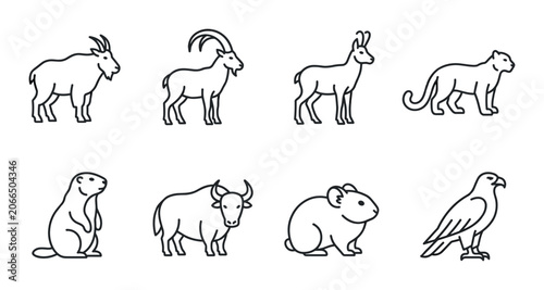 Photography Set of 8 Line Art Animal Icons: Goat, Ibex, Gazelle, Big Cat, Marmot, Yak, Guine