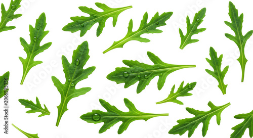 Vibrant green arugula leaves with delicate water droplets, crinkled texture, prominent dark veins, scattered on a transparent background with copy space, flat lay composition. Concept of healthy