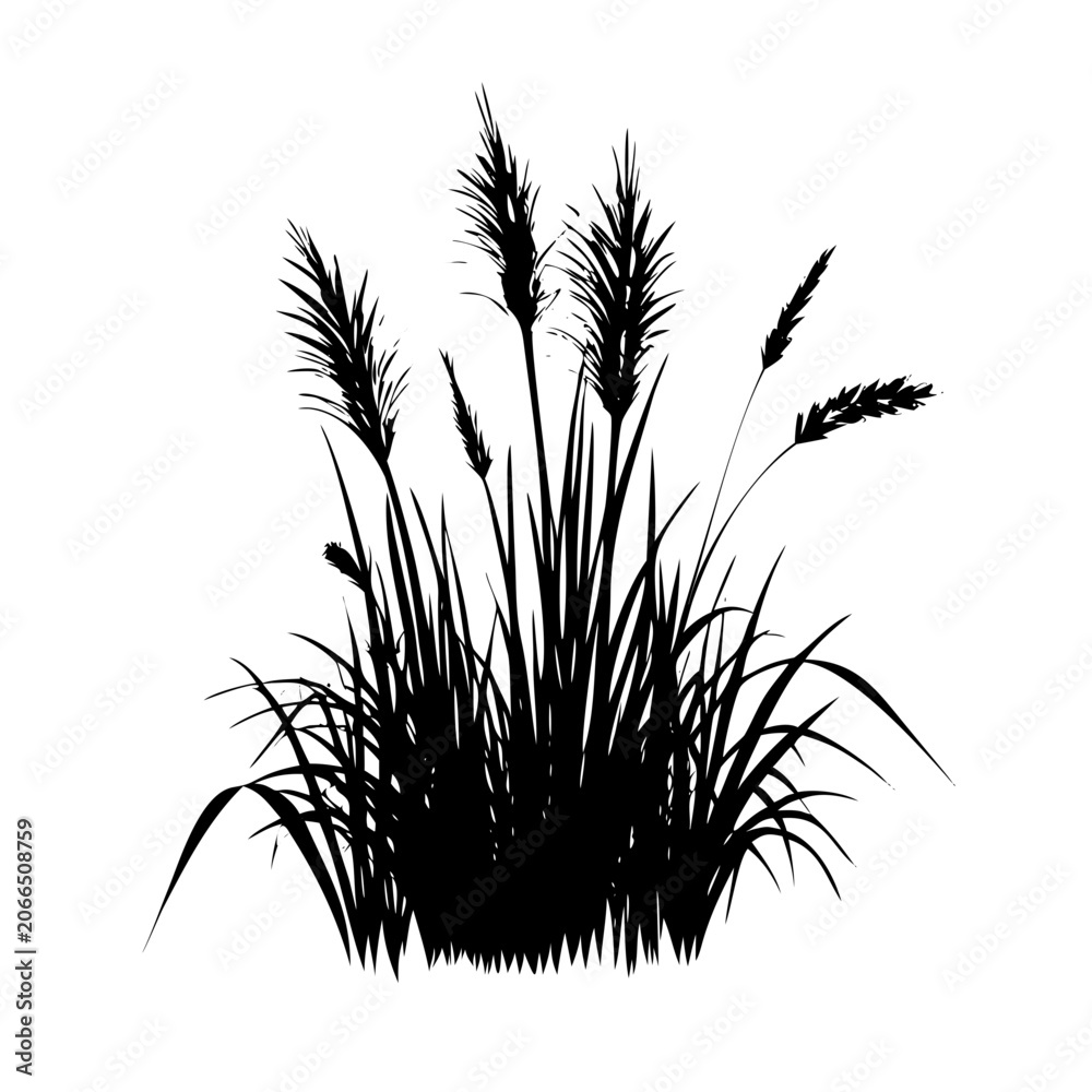 Fototapeta premium Wheat Field Grass Tuft Vector Silhouette