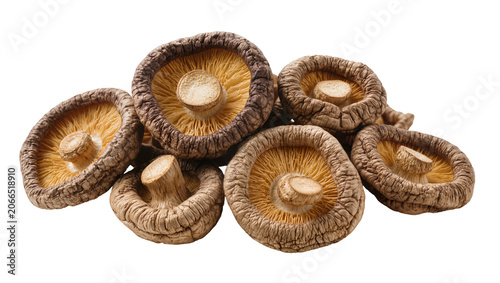 Принти на полотні Isolated dried shiitake mushrooms with visible gills and stems, a popular culina