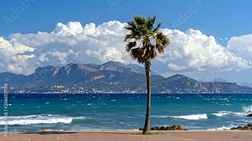 Lone palm tree standing on a sunny beach with mountains and clouds