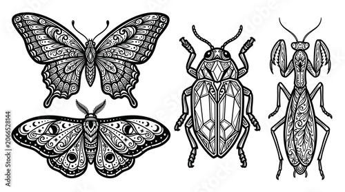 Quadro su tela Ornate Insects: Butterfly, Moth, Beetle, Praying Mantis Vector Art