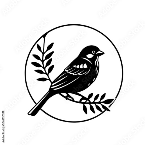 bird on a branch