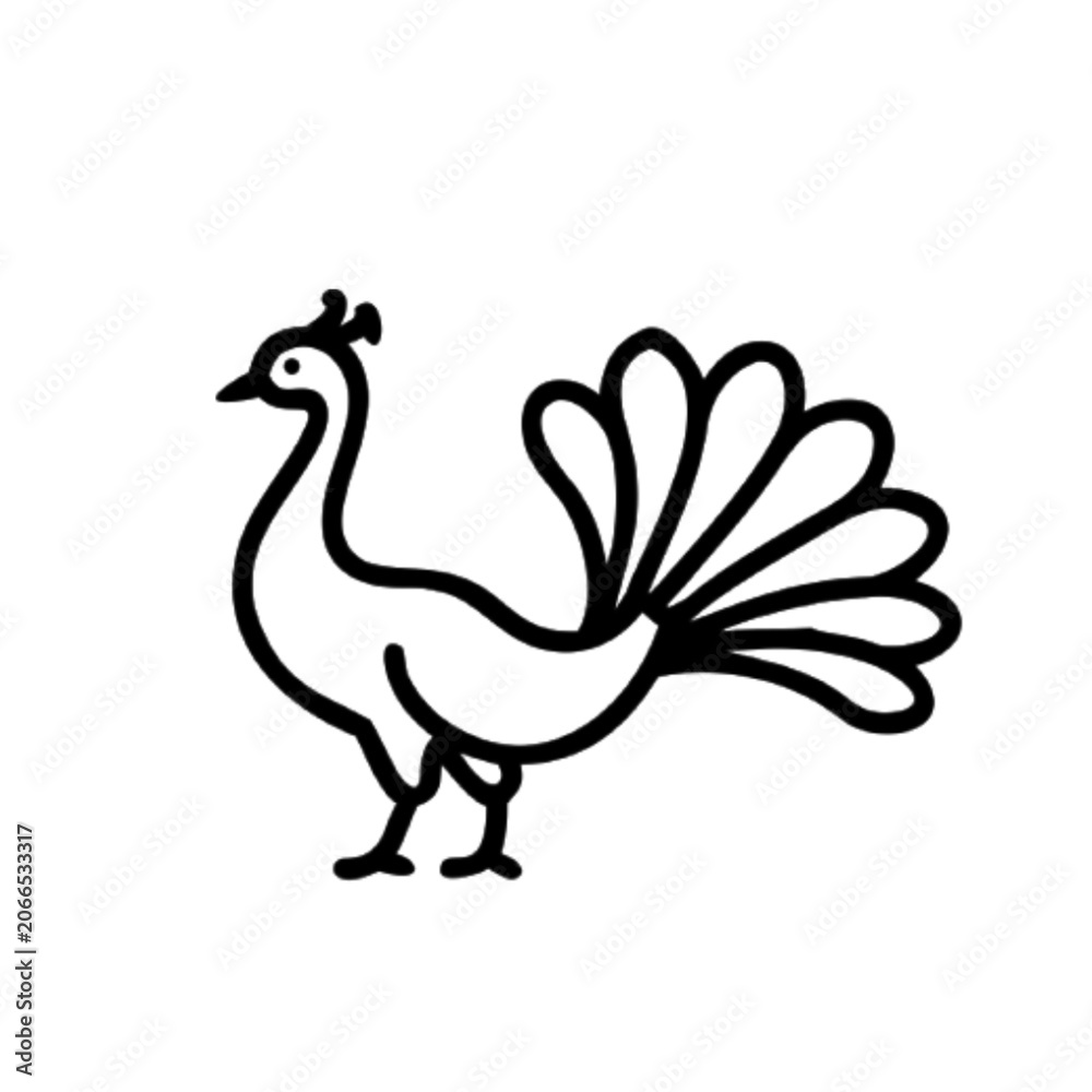 Fototapeta premium peacock vector illustration