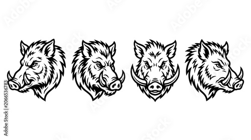 Photos Wild Boar Heads Vector Illustration Set