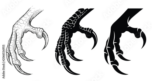 Obraz na płótnie Three variations of a bird of prey talon showing different levels of detail from