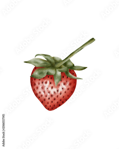 Hand painted watercolor strawberry isolated. for packaging design, food branding, labels, menus, recipe books, kitchen decor, stationery, and organic product marketing.